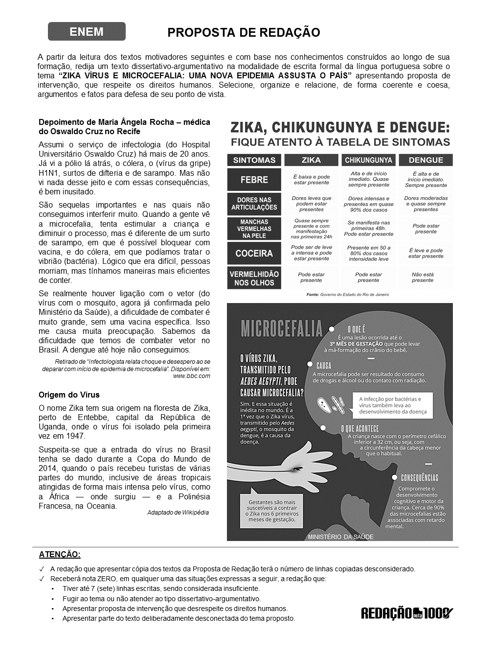 Redação Sobre Vacinação Nota 1000 BRAINCP